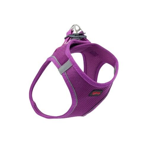 TailPetz Air Mesh Köpek Göğüs Tasması Mor (M)