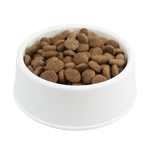 Pro Plan Mini Lamb Kuzulu Küçük Irk Köpek Maması