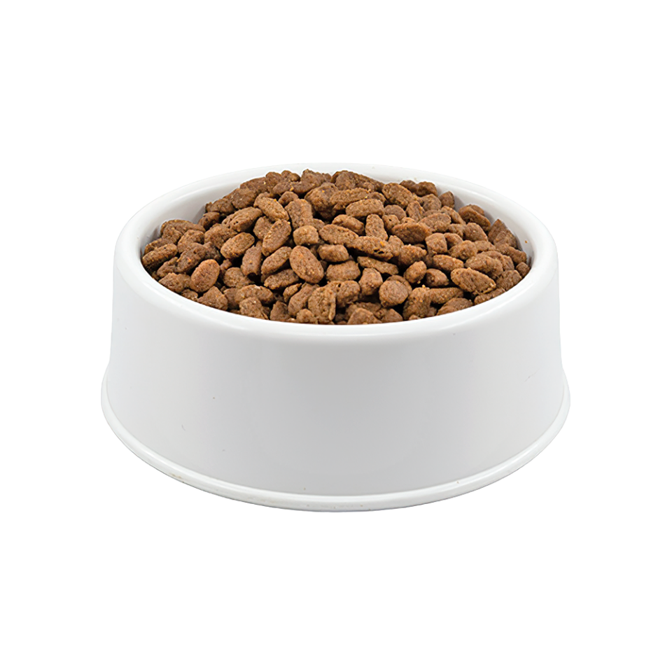 Royal Canin Açık Yavru Kedi Maması