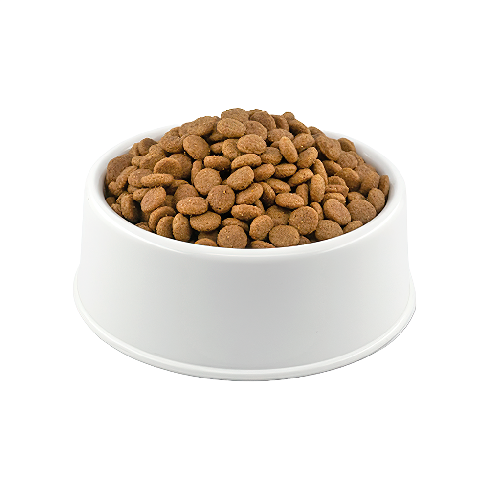 Royal Canin British Shorthair Açık Yetişkin Kedi Maması