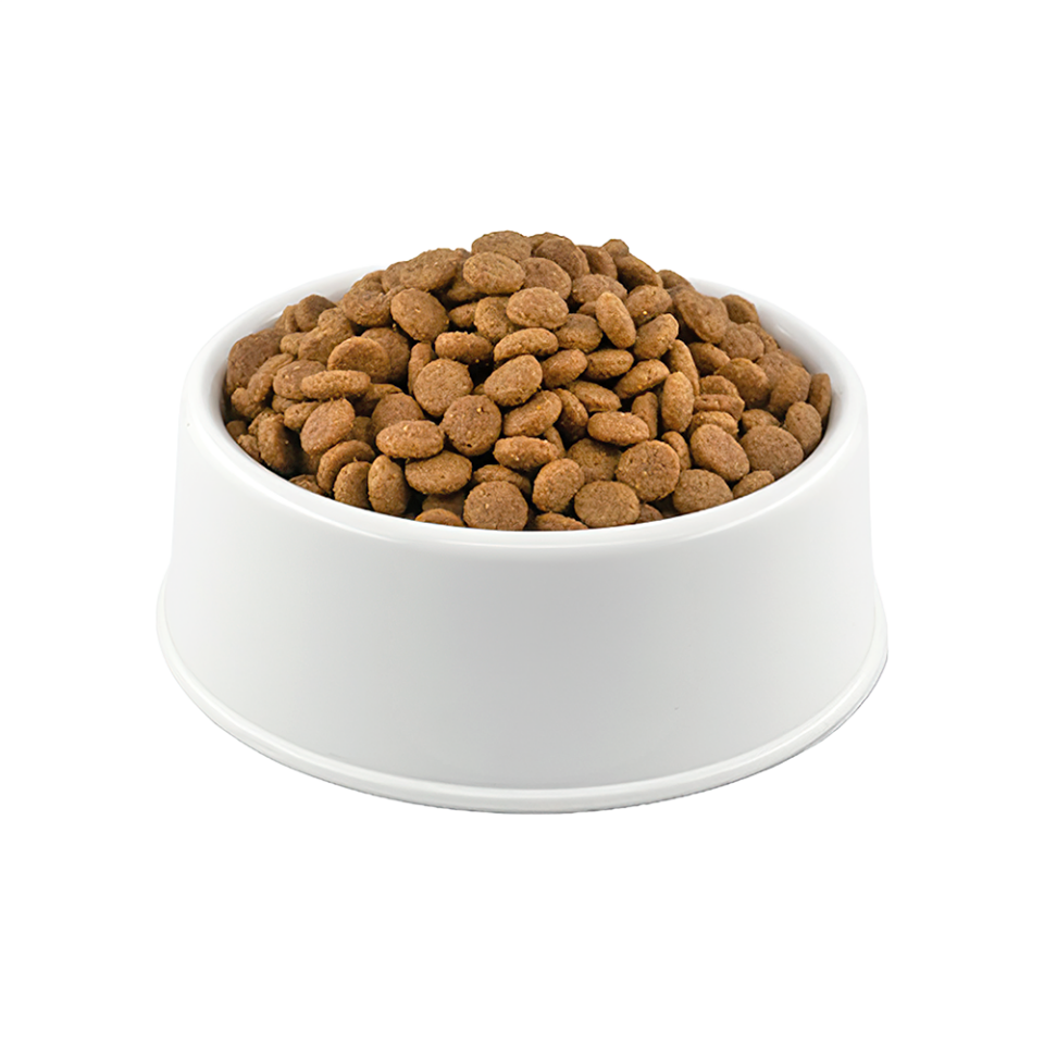 Royal Canin British Shorthair Açık Yetişkin Kedi Maması